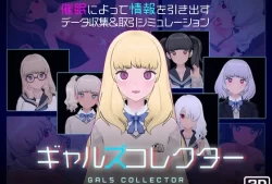 女孩收藏家 ギャルズコレクター PC平台 SLG类型 官方中文版本 绿色免安装版