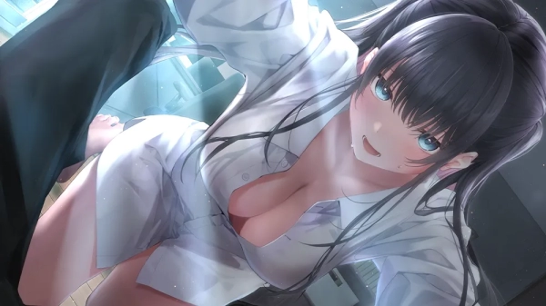 制服女友 制服カノジョ まよいごエンゲージ 官方中文电脑版 Steam PC端全DLC整合资源